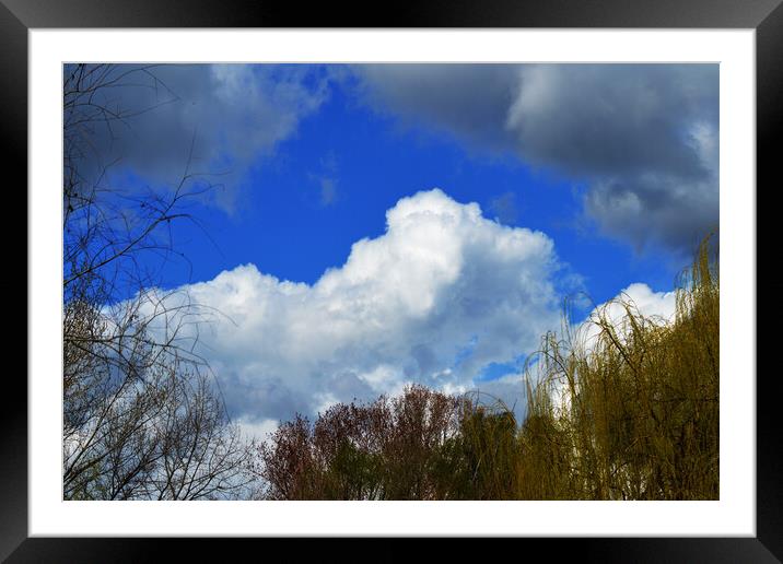 Sky cloud Framed Mounted Print by liviu iordache