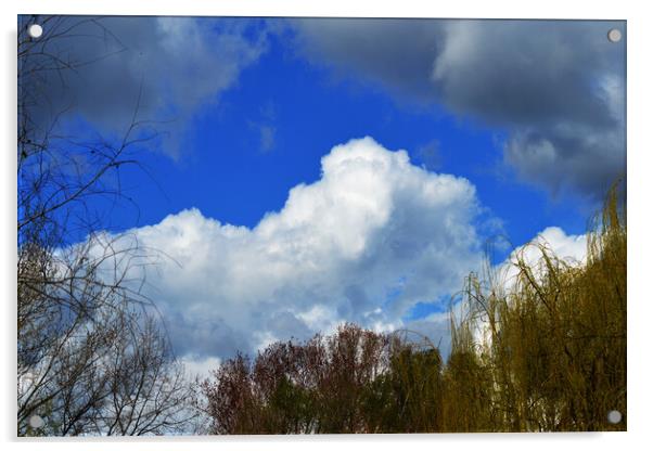Sky cloud Acrylic by liviu iordache