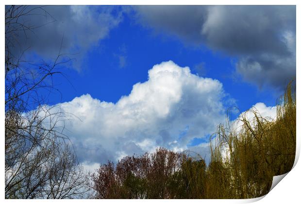 Sky cloud Print by liviu iordache