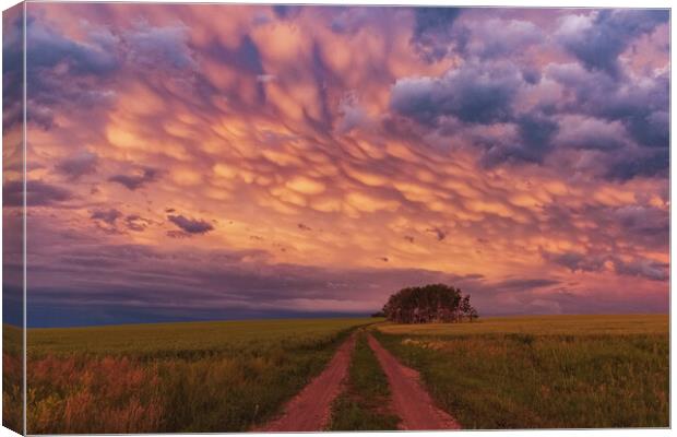 Mammatus red sunset Canvas Print by John Finney