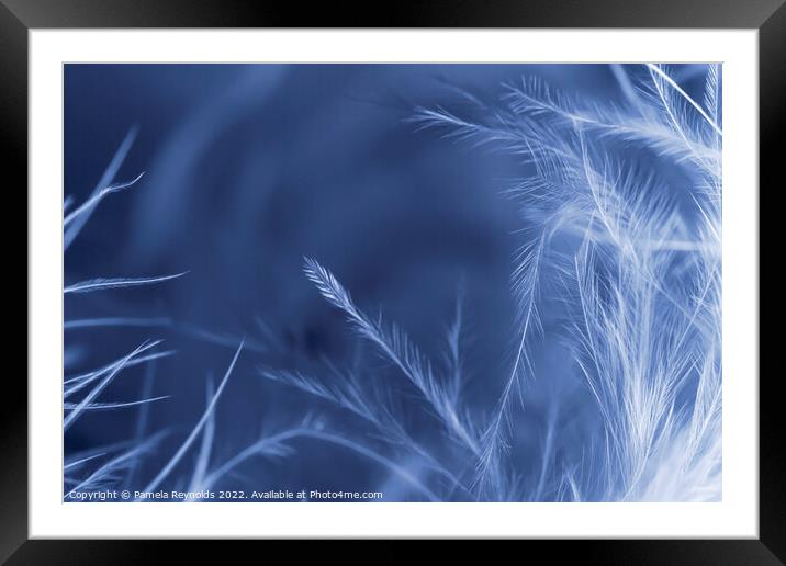 A Macro image of a Feather Boa, with gradient over Framed Mounted Print by Pamela Reynolds