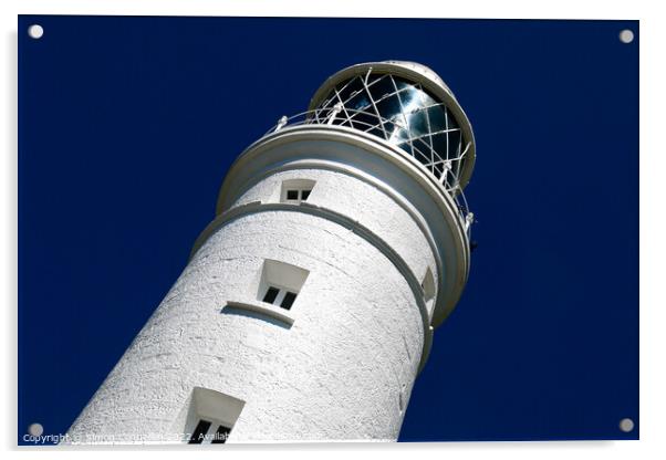 Nash Point Lighthouse Acrylic by Simon Connellan
