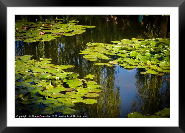 Monets Garden Water Lilies Framed Mounted Print by Simon Connellan