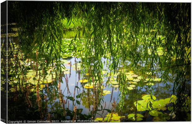 Monets Garden Water Lilies Canvas Print by Simon Connellan