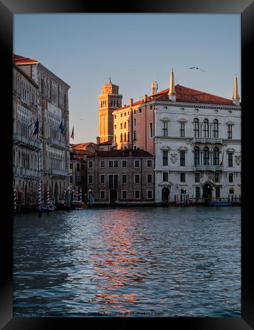 Palazzo Balbi and Ca Foscari Venice Framed Print by Dietmar Rauscher