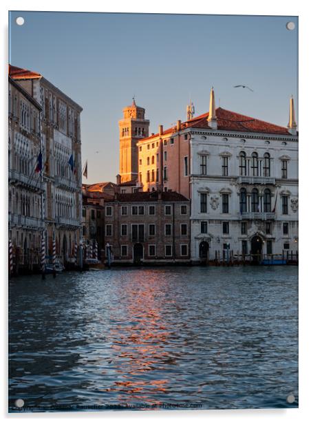 Palazzo Balbi and Ca Foscari Venice Acrylic by Dietmar Rauscher