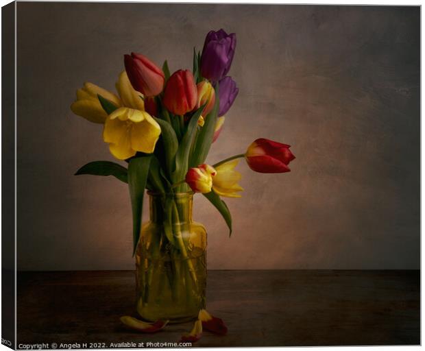 Tulips Canvas Print by Angela H