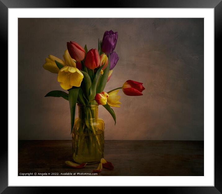 Tulips Framed Mounted Print by Angela H