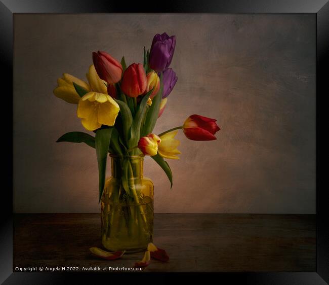 Tulips Framed Print by Angela H