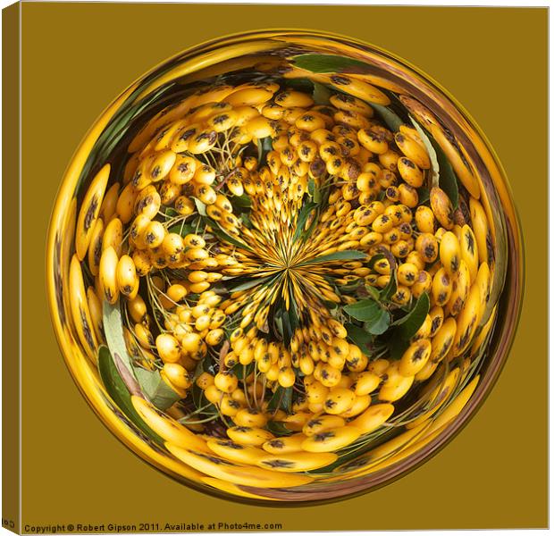 Spherical Paperweight Berry Glass Canvas Print by Robert Gipson