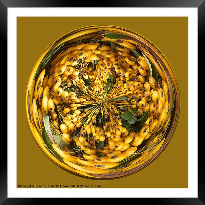 Spherical Paperweight Berry Glass Framed Mounted Print by Robert Gipson