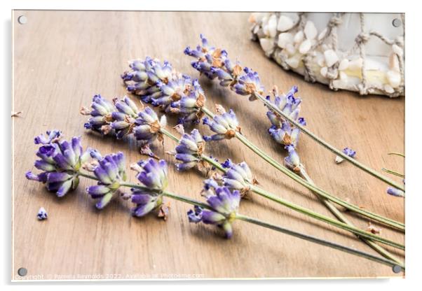 Lavender Stems and Seashells Acrylic by Pamela Reynolds