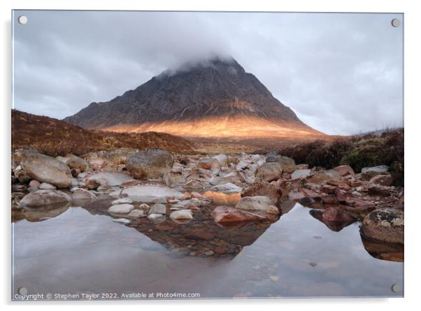 Buacaille Etive Mor Acrylic by Stephen Taylor