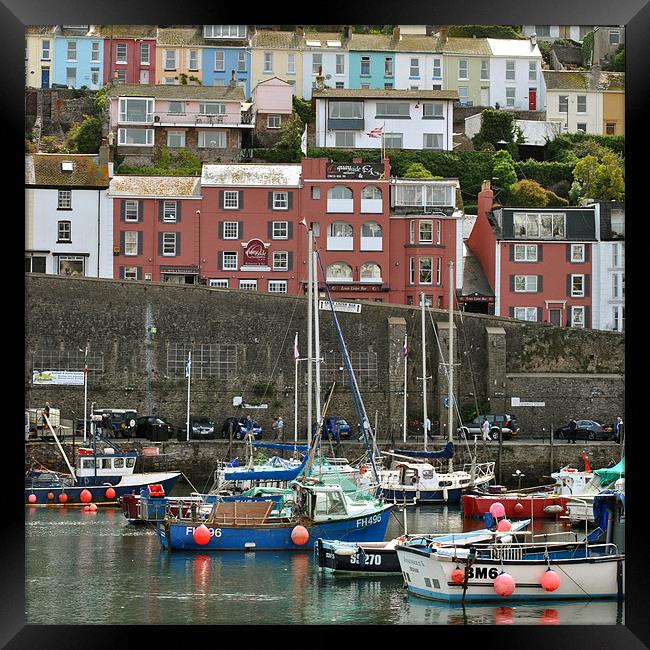 Brixham Harbour Framed Print by graham young