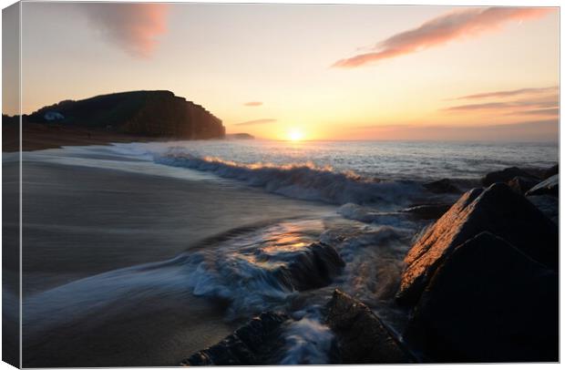 Sunkissed Wave Canvas Print by David Neighbour