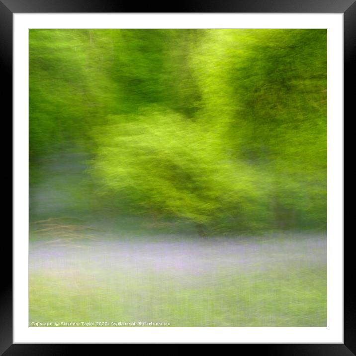 Kinclaven Bluebell woods Framed Mounted Print by Stephen Taylor