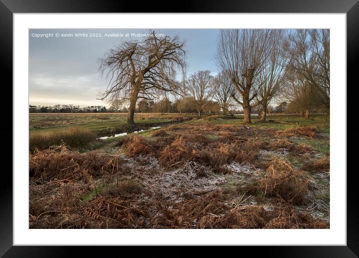 walk through old grass and frost Framed Mounted Print by Kevin White