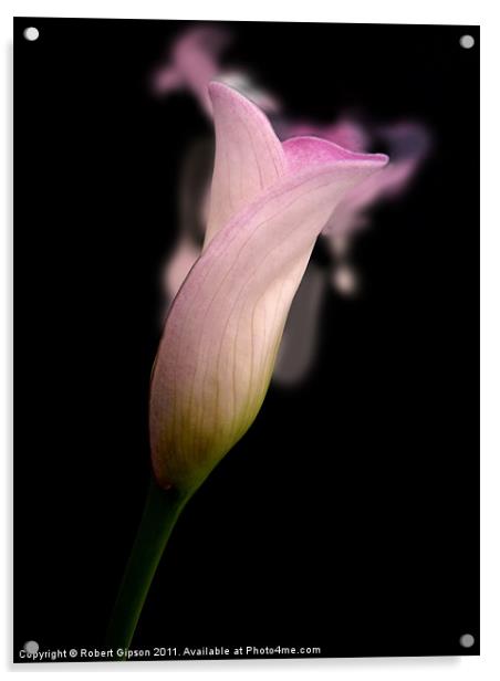 Calla lily Scent For You Acrylic by Robert Gipson