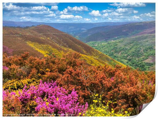 Galician Mountain Bloom Print by Roger Mechan