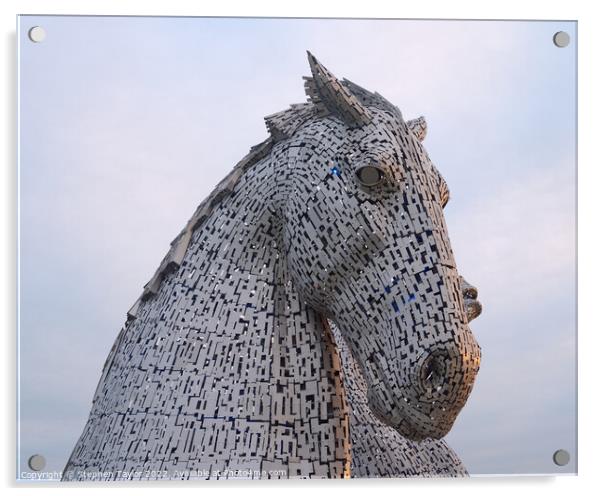 The Kelpies at Sunrise Acrylic by Stephen Taylor