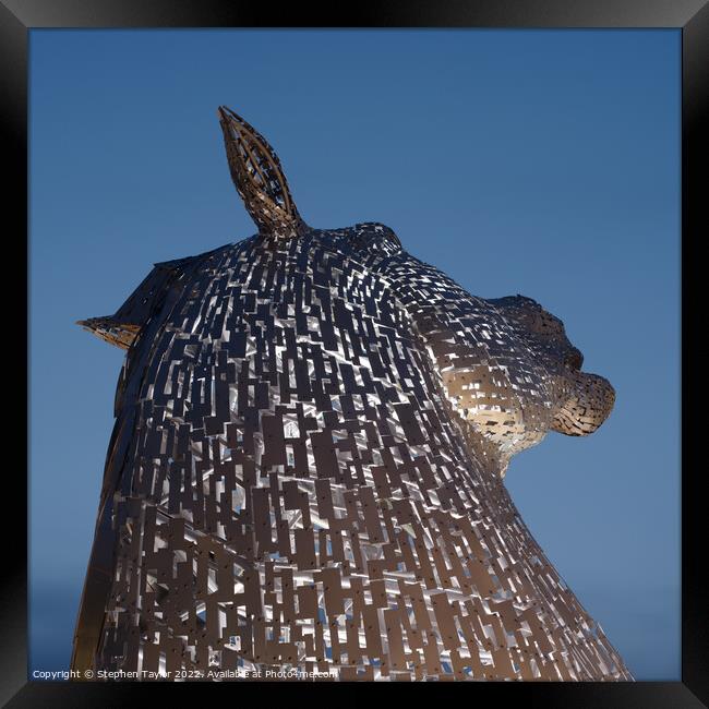 The Kelpies Framed Print by Stephen Taylor