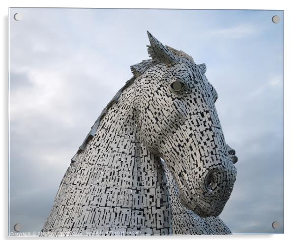 The Kelpies Acrylic by Stephen Taylor