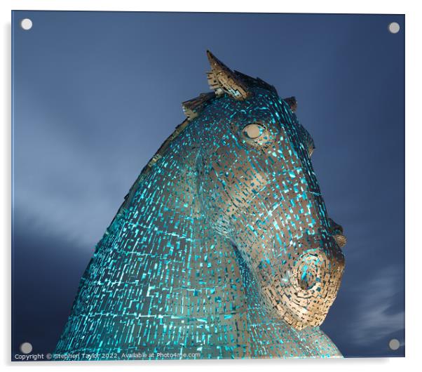 The Kelpies at Night Acrylic by Stephen Taylor
