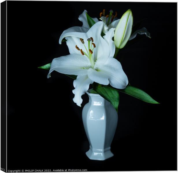 White Lily in a vase 677 Canvas Print by PHILIP CHALK