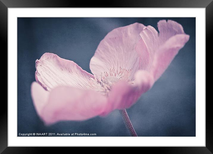Midnight Beauty Framed Mounted Print by
