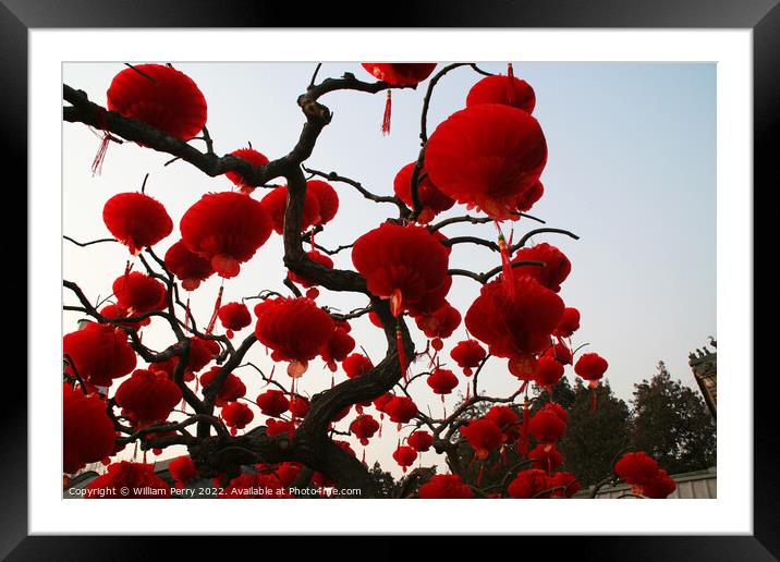 Red Chinese New Year Lanterns Ditan Park Beijing China Framed Mounted Print by William Perry
