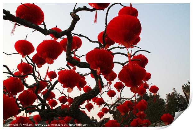 Red Chinese New Year Lanterns Ditan Park Beijing China Print by William Perry