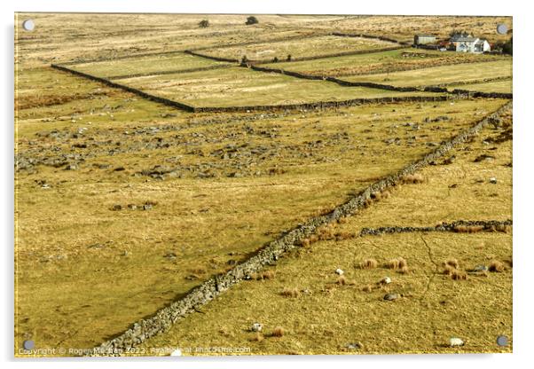 Rolling Hills of Dartmoor Acrylic by Roger Mechan