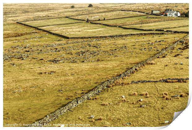 Rolling Hills of Dartmoor Print by Roger Mechan