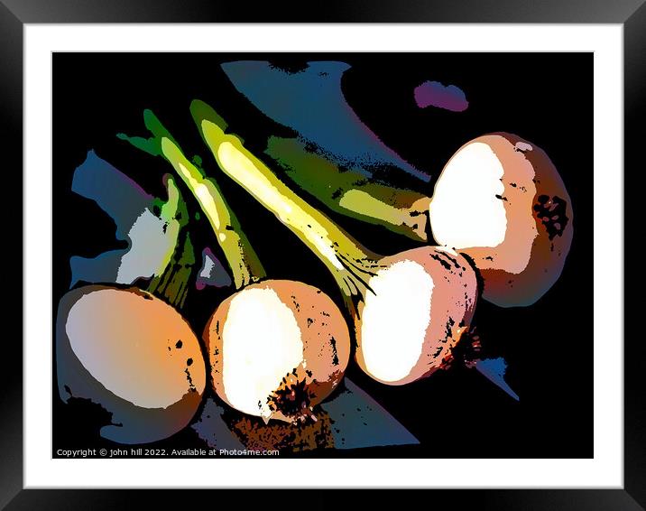 Digital spring onions Framed Mounted Print by john hill