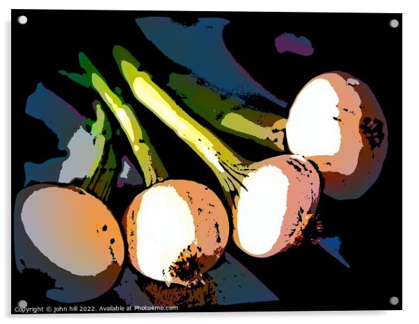 Digital spring onions Acrylic by john hill