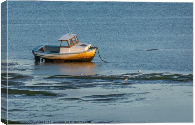Moored boat illuminated by the rays of the setting sun on the shoal during low tide Canvas Print by Q77 photo