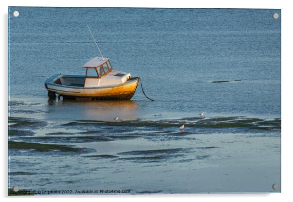 Moored boat illuminated by the rays of the setting sun on the shoal during low tide Acrylic by Q77 photo