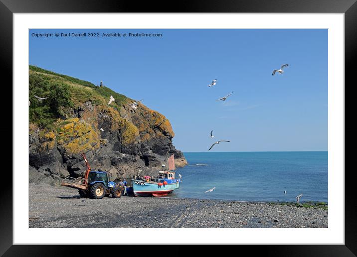 Cadgwith fisherman returns Framed Mounted Print by Paul Daniell