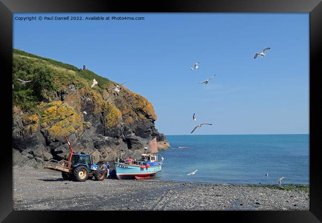 Cadgwith fisherman returns Framed Print by Paul Daniell