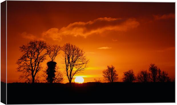 February sunrise Canvas Print by Simon Johnson