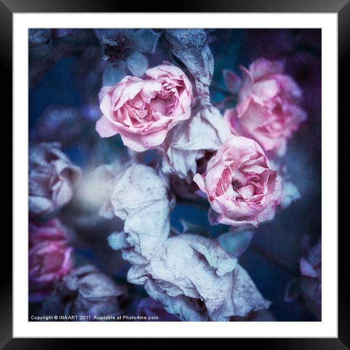 Faded Roses Framed Mounted Print by
