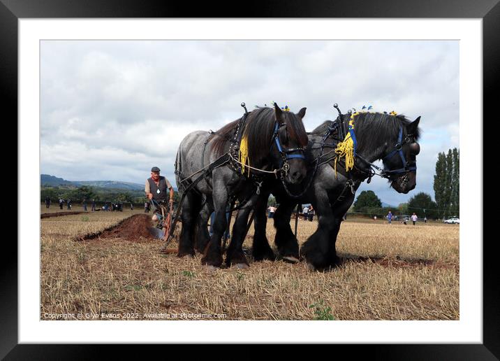 Ploughing Championship. Framed Mounted Print by Glyn Evans