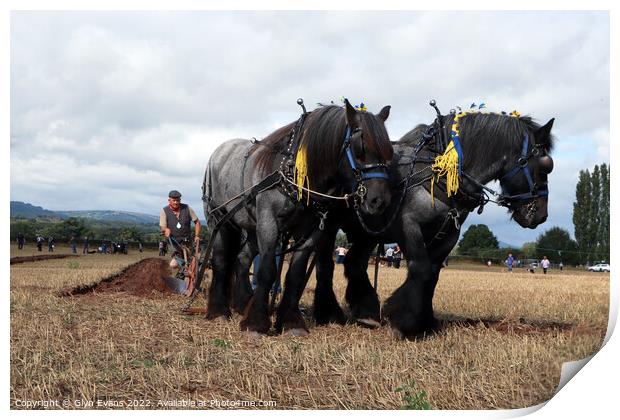 Ploughing Championship. Print by Glyn Evans