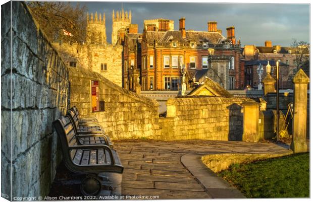 A Sunny Evening In York Canvas Print by Alison Chambers