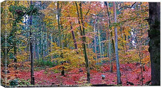 Magical Wood Canvas Print by GJS Photography Artist