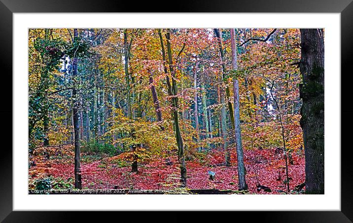 Magical Wood Framed Mounted Print by GJS Photography Artist