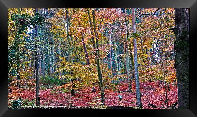 Magical Wood Framed Print by GJS Photography Artist