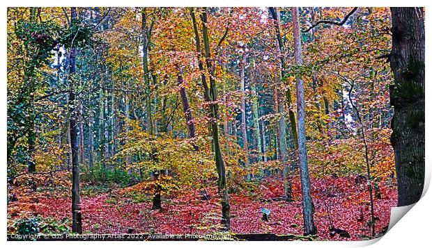 Magical Wood Print by GJS Photography Artist