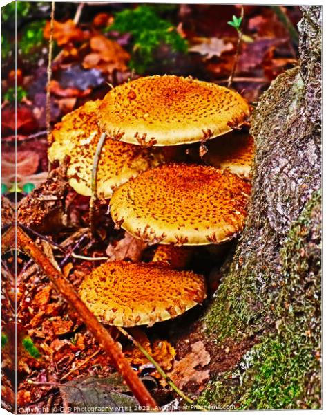Blending In Canvas Print by GJS Photography Artist