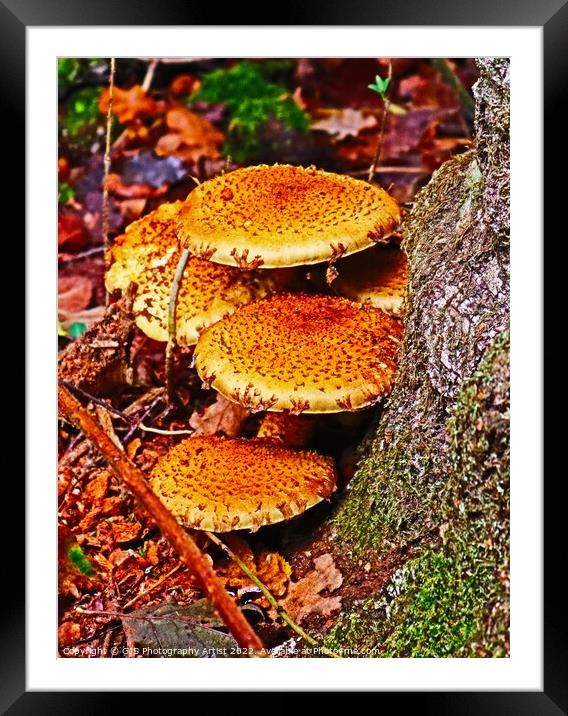 Blending In Framed Mounted Print by GJS Photography Artist